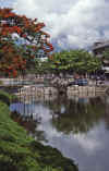 WT 0800 126-11 Thailand.jpg (188314 bytes)
