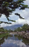 WT 0800 126-19 Thailand.jpg (177643 bytes)
