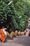 WT 0800 129-04 Thailand.jpg (178979 bytes)