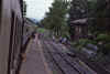 WT 0800 131-28 Thailand.jpg (168790 bytes)