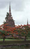 WT 0800 134-02 Thailand.jpg (145345 bytes)