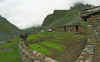 WT 0649 Nepal Thorung pedi.jpg (286503 bytes)