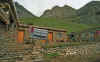 WT 0651 Nepal Throung pedi.jpg (377968 bytes)