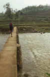 WT 1000 142-22 Nepal.jpg (193676 bytes)