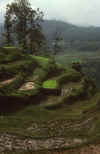 WT 1000 142-34 Nepal.jpg (153181 bytes)