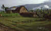 WT 1000 143-29 Nepal.jpg (144799 bytes)