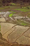 WT 1000 144-04 Nepal.jpg (205708 bytes)