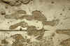 WT 1000 144-26 Nepal.jpg (246005 bytes)