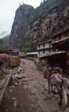 WT 1000 152-12 Nepal.jpg (170693 bytes)