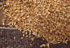 WT 1000 153-05 Nepal.jpg (248627 bytes)