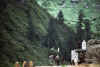 WT 1000 153-13 Nepal Threshing Barley.jpg (164127 bytes)