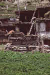WT 1000 168-04 Nepal.jpg (271909 bytes)