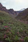 WT 1000 173-02 Nepal.jpg (145360 bytes)