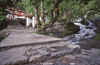 WT 1000 180-30 Nepal.jpg (235687 bytes)