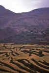 WT 1000 182-33 Nepal.jpg (133104 bytes)
