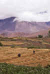 WT 1000 183-24 Nepal.jpg (161412 bytes)