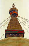 WT 0522 Nepal.jpg (252934 bytes)