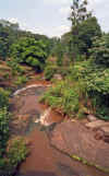 WT 0582 Kenya River.jpg (421772 bytes)