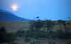 WT 0605 Kenya Sunset.jpg (224673 bytes)