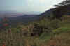 WT 1400 192-25 Kenya.jpg (189356 bytes)
