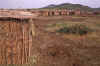 WT 1400 203-25 Kenya.jpg (273026 bytes)