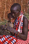WT 1400 204-12 Kenya.jpg (172126 bytes)