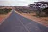WT 1400 206-37 Kenya.jpg (145241 bytes)