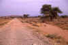 WT 1400 207-14 Kenya.jpg (177711 bytes)