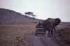 WT 1400 209-35 Kenya.jpg (108196 bytes)