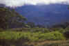 WT 1400 213-12 Kenya.jpg (138767 bytes)