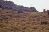 WT 1400 214-32 Kenya.jpg (208438 bytes)