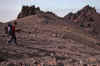 WT 1400 220-26 Kenya.jpg (258377 bytes)