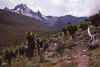 WT 1400 221-34 Kenya.jpg (177285 bytes)