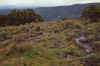 WT 1400 222-16 Kenya.jpg (182119 bytes)
