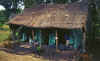 WT 0603 Kenya.jpg (448098 bytes)