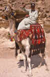 WT 1600 229-26 Egypt.jpg (205500 bytes)
