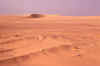 WT 1600 235-31 Egypt.jpg (132781 bytes)