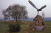 WT 2000 258-17 Belgium.jpg (204433 bytes)
