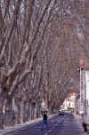 WT 2200 302-15 Portugal.jpg (293763 bytes)