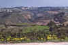 WT 2200 303-05 Portugal.jpg (189660 bytes)