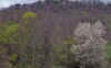WT 2500 317-29 France 92.jpg (260803 bytes)