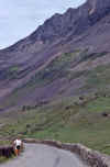WT 2700 337-16 UK 1992-1.jpg (199683 bytes)