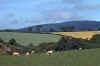 WT 2900 338-37 Ireland.jpg (157546 bytes)
