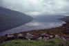 WT 2900 345-28 Ireland.jpg (119044 bytes)