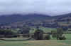 WT 3100 347-31 UK-3.jpg (135834 bytes)