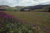 WT 3100 349-22 UK-3.jpg (165366 bytes)