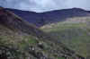WT 3100 357-35 UK-3 1992 Ben Nevis.jpg (245806 bytes)