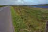 WT 3100 362-33 UK-3 1992 Orkneys.jpg (247152 bytes)