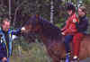 WT 3300 368-33 Norway Lars Christian, Benedikte and Ellen Johanne Narum Aug-1992.jpg (162370 bytes)