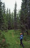 WT 3300 368-38 Norway JohnArne Narum in the Woods.jpg (214623 bytes)